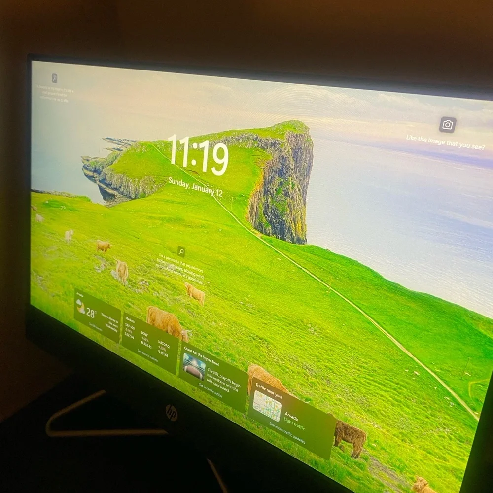 HP Black Monitor mouse and keyboard included